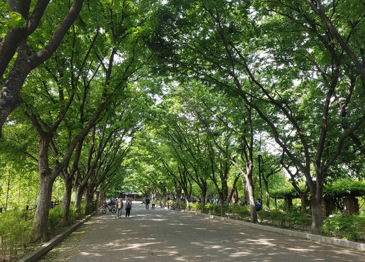 대구시 두류공원, 힐링·운동·산보·꽃구경까지 도심 속 최대 휴식처 기사 이미지