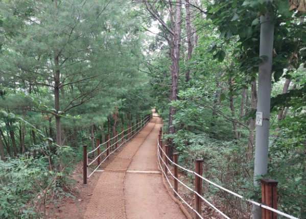 아람근린공원 ‘걷고 싶은 공원’으로 새단장  기사 이미지
