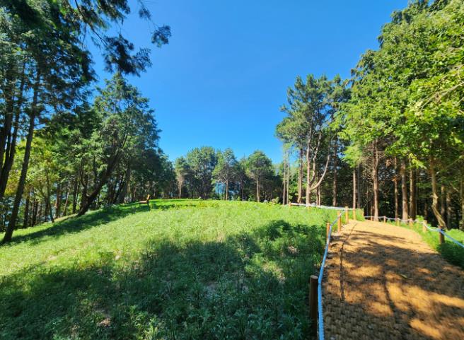 통영시, 이순신공원 내 산림공원 조성 마무리 기사 이미지