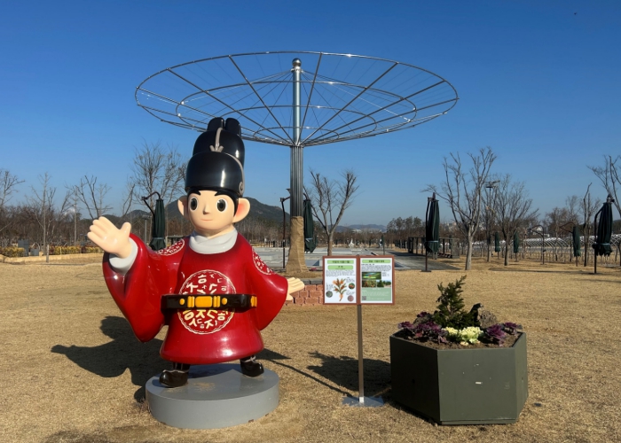 세종호수·중앙공원 2026년1월 '이달의 식물' ‘주목’ 전시 기사 이미지