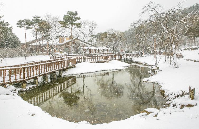 광양시 백운산자연휴양림,겨울 웰니스 관광지 기사 이미지