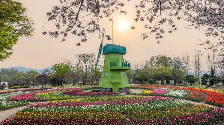 순천만국가정원에 봄과 꽃, 사람이 온다 기사 이미지