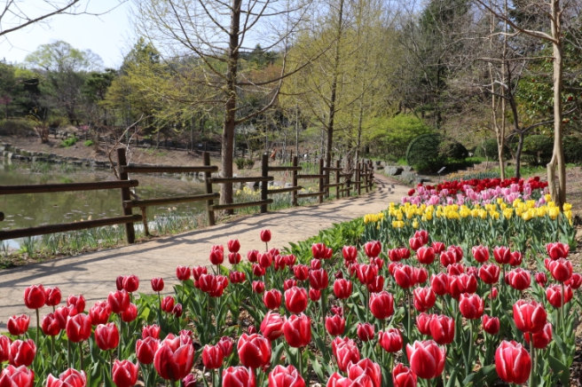 경상남도수목원, ‘올해 꼭 가봐야 할 수목원 10선’ 2년 연속 선정  기사 이미지