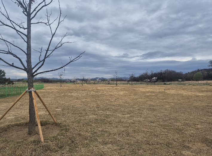 창원특례시, 대산 파크골프장 시설개선공사 마무리 기사 이미지
